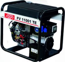FV11001TE
